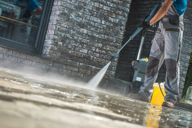 Best Animal Enclosure Cleaning  in Pensacola, FL