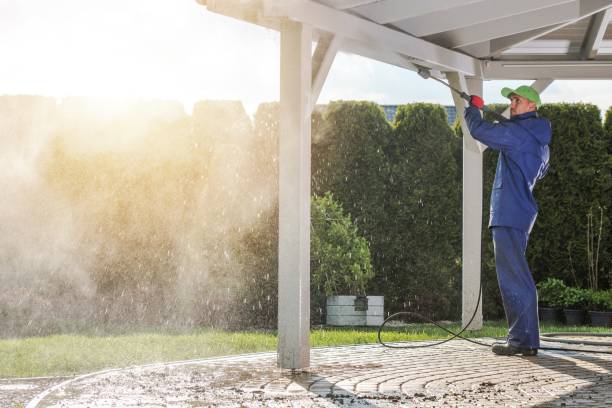 Best Soft Washing  in Pensacola, FL